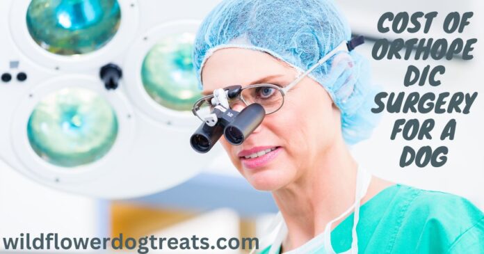 Cost of Orthopedic Surgery for a Dog