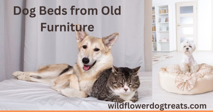Dog Beds from Old Furniture