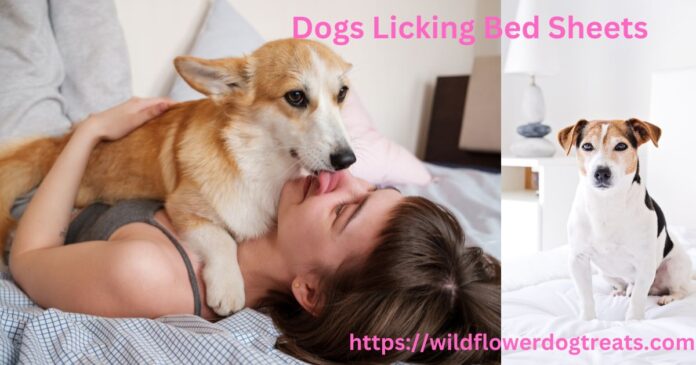 Dogs Licking Bed Sheets