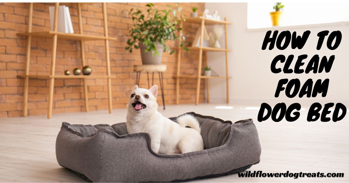 How to Clean Foam Dog Bed