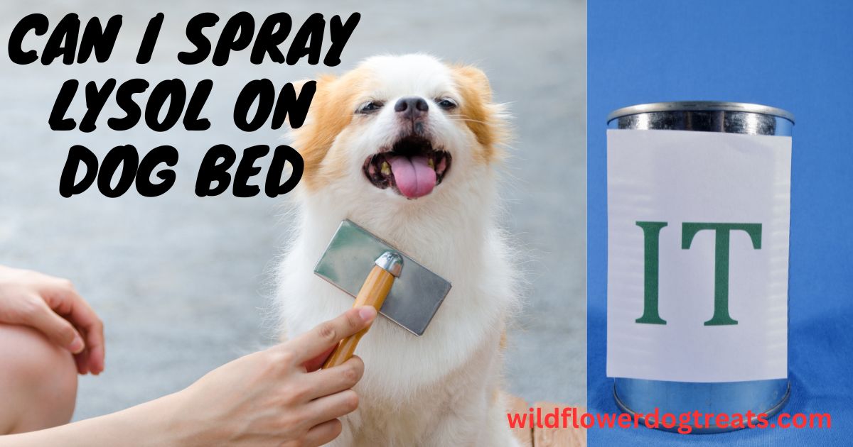 can i spray lysol on dog bed

