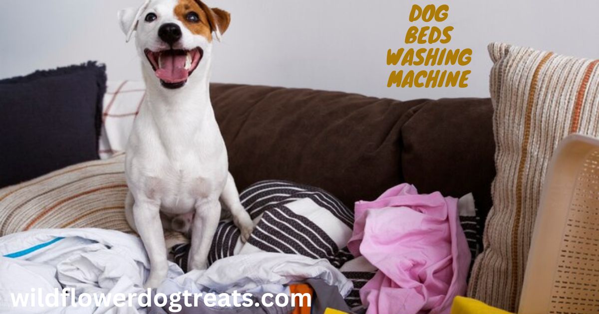 dog beds washing machine
