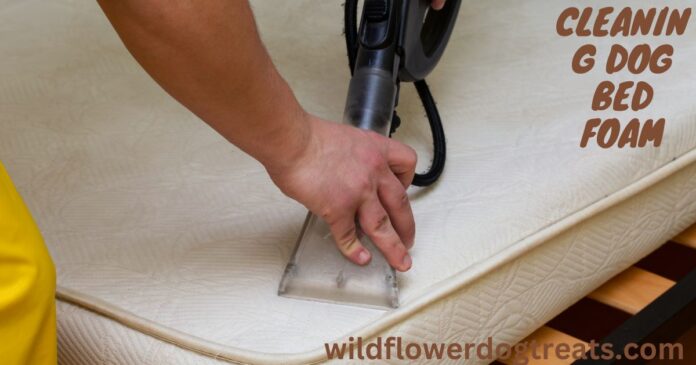 Cleaning Dog Bed Foam