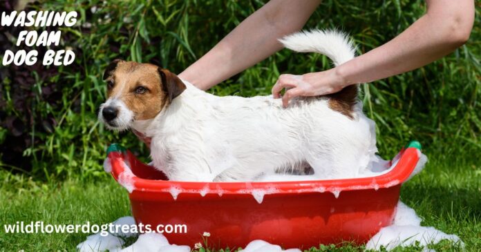 washing foam dog bed